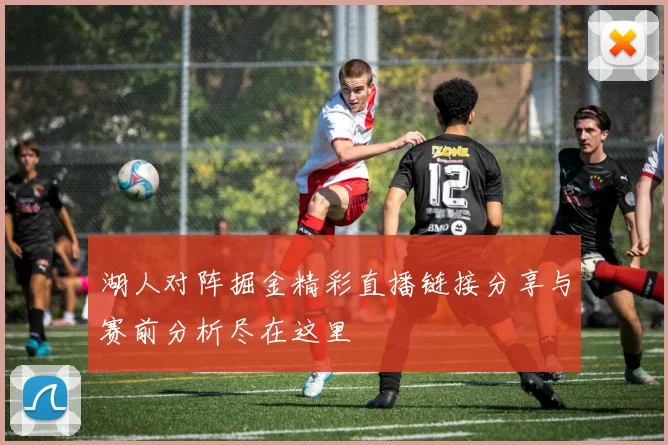 湖人对阵掘金精彩直播链接分享与赛前分析尽在这里