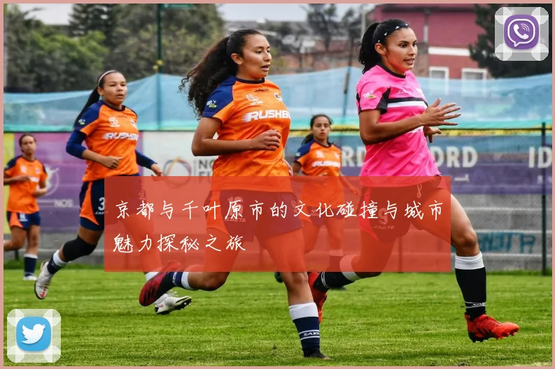 京都与千叶原市的文化碰撞与城市魅力探秘之旅