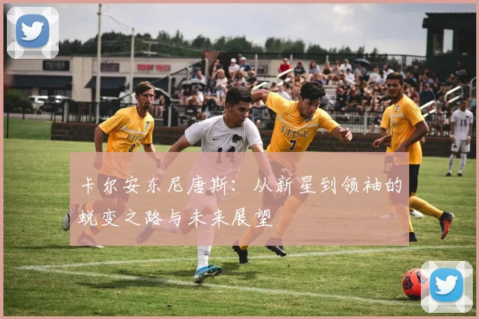 卡尔安东尼唐斯：从新星到领袖的蜕变之路与未来展望