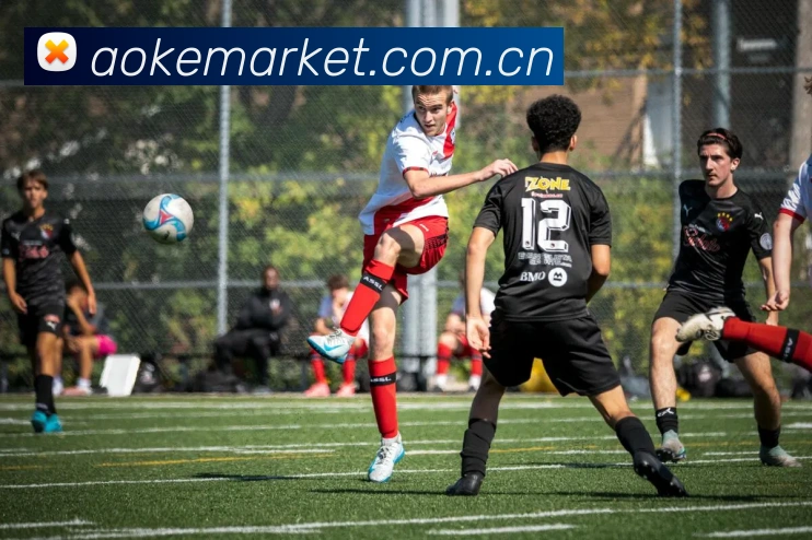 多媒体互动体验